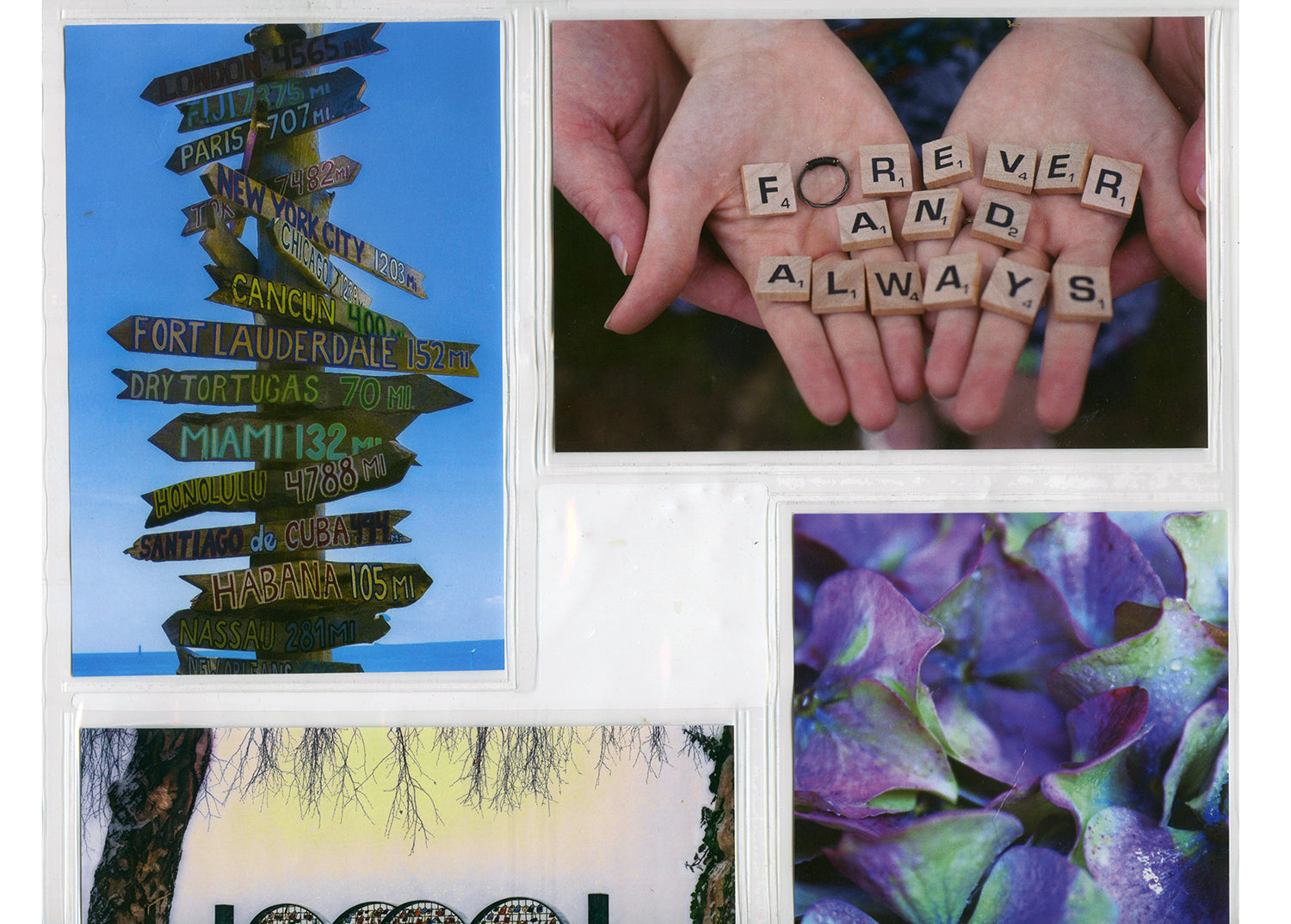 Here should be a File.