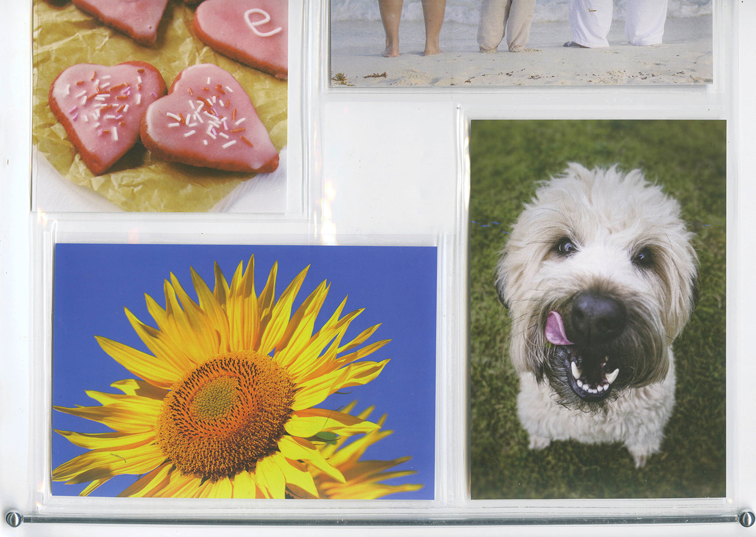 Here should be a File.