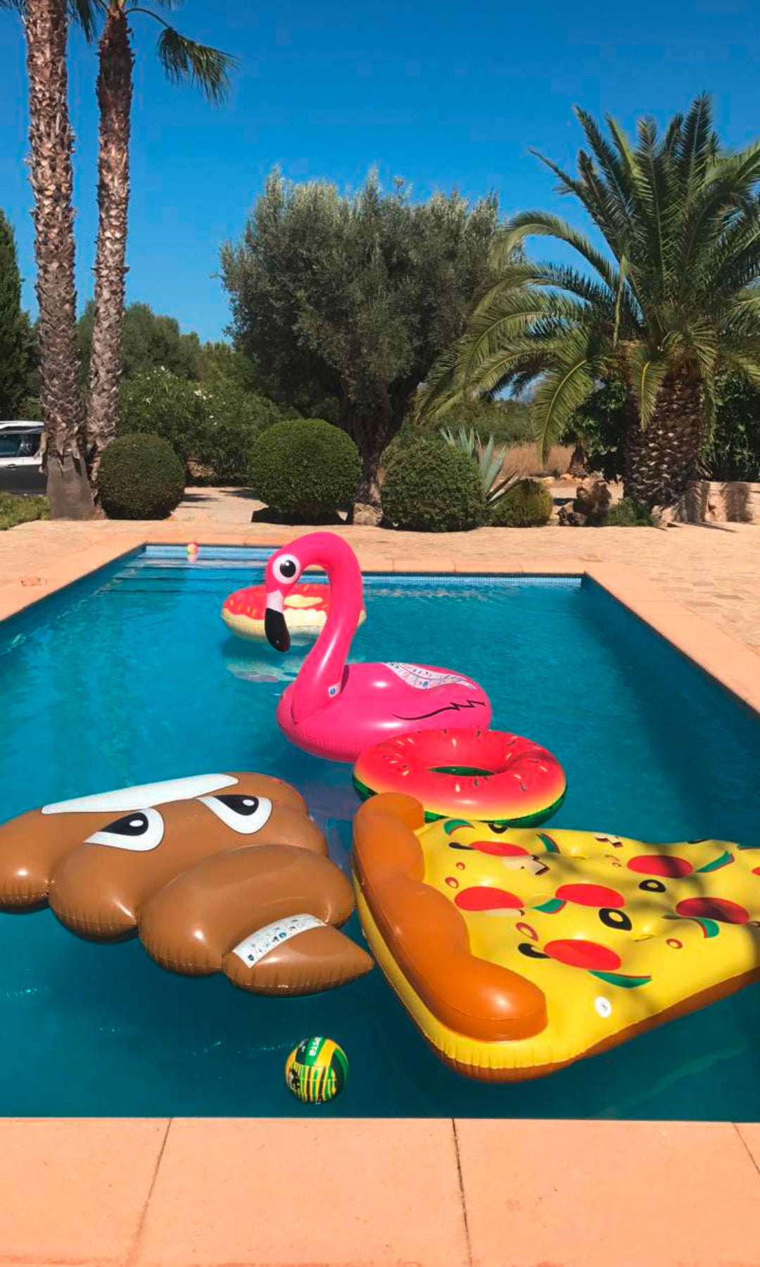 Here should be a File.