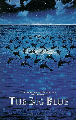 Here should be a File.