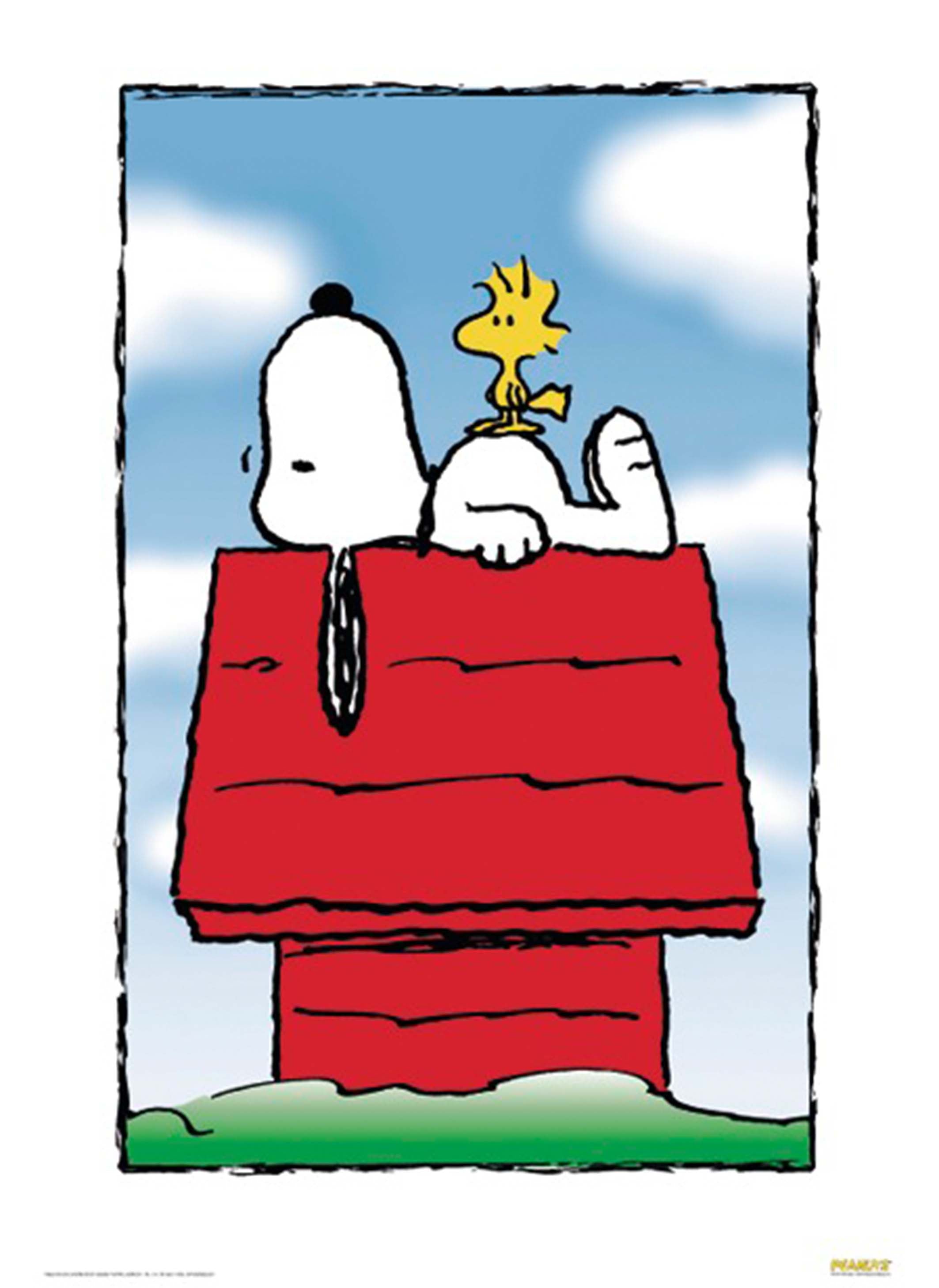 Here should be a File.