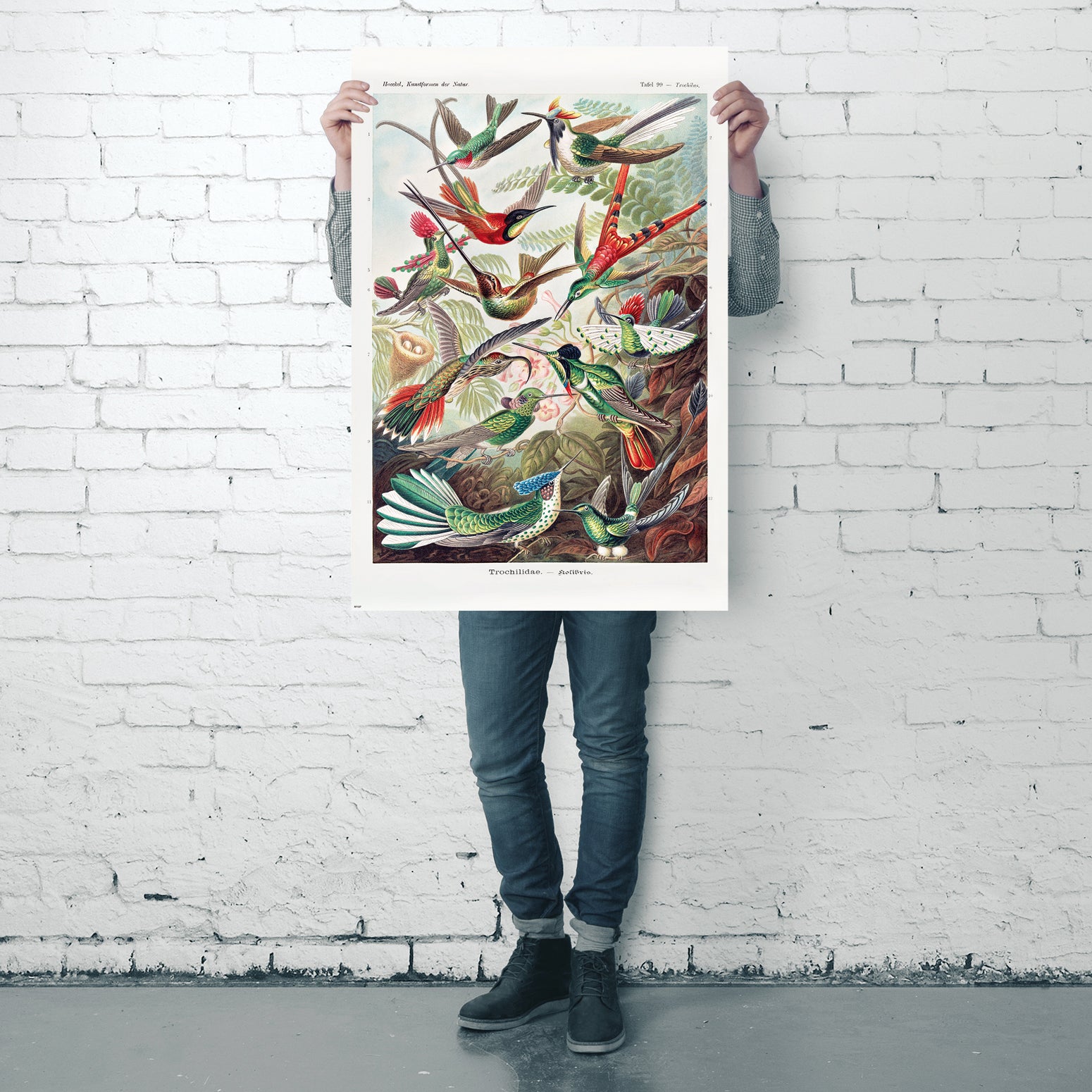 Here should be a File.