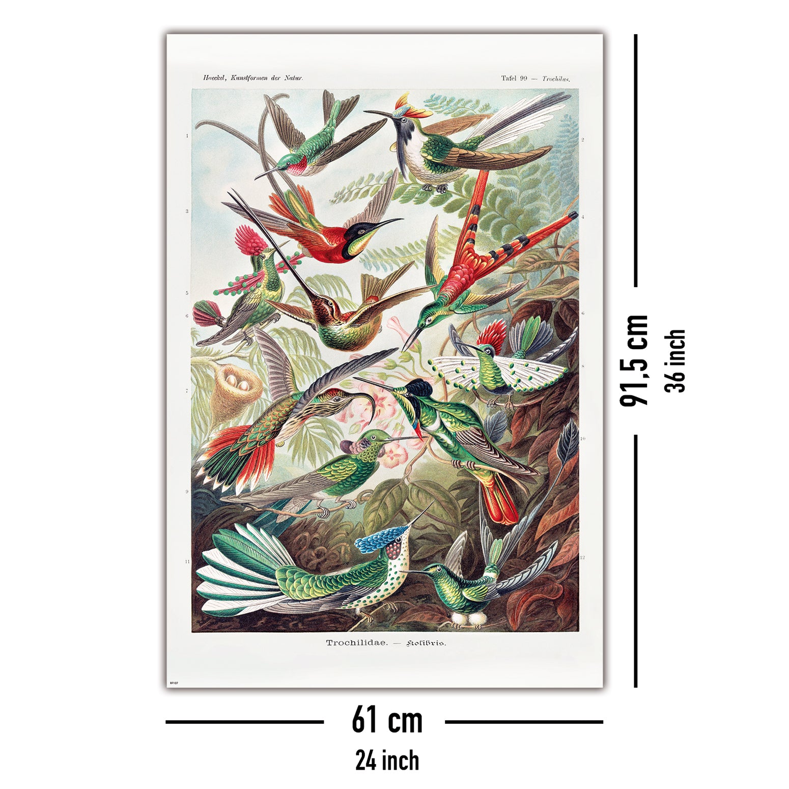 Here should be a File.