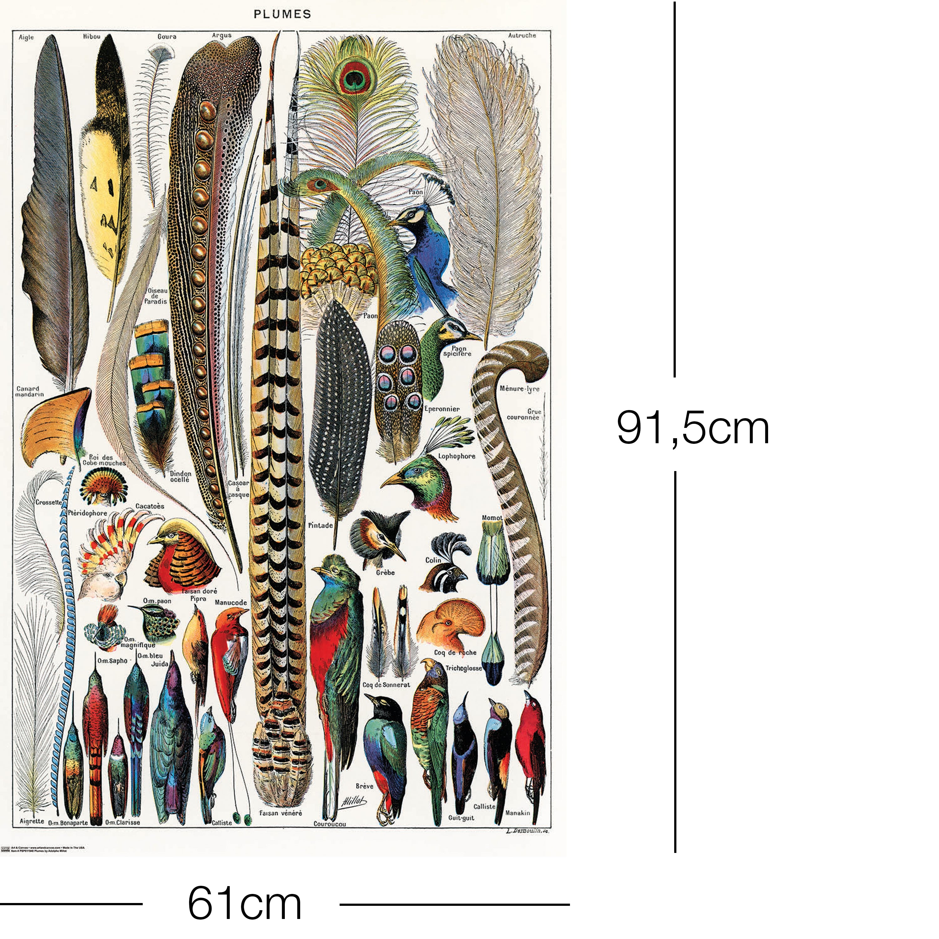 Here should be a File.