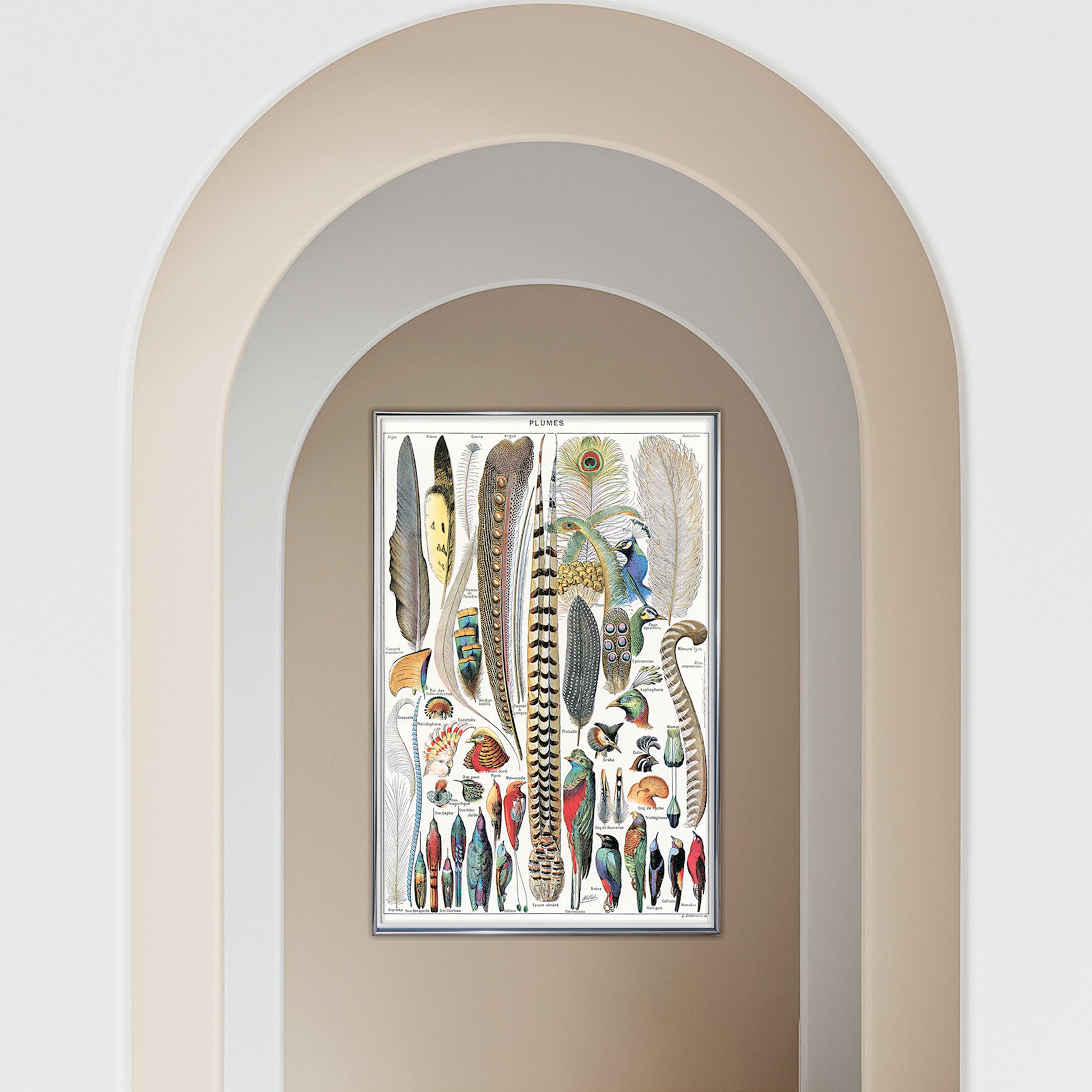 Here should be a File.