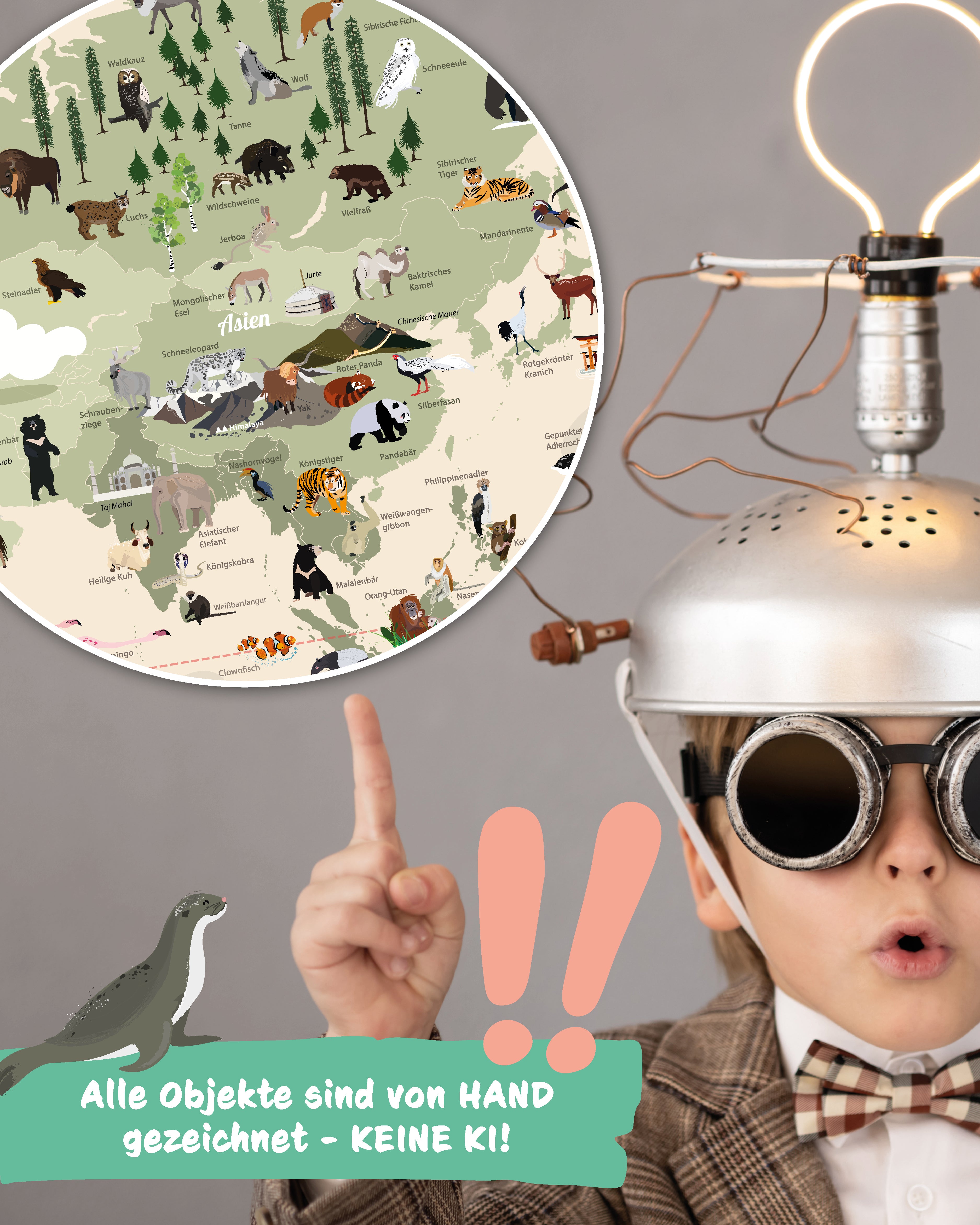 Here should be a File.