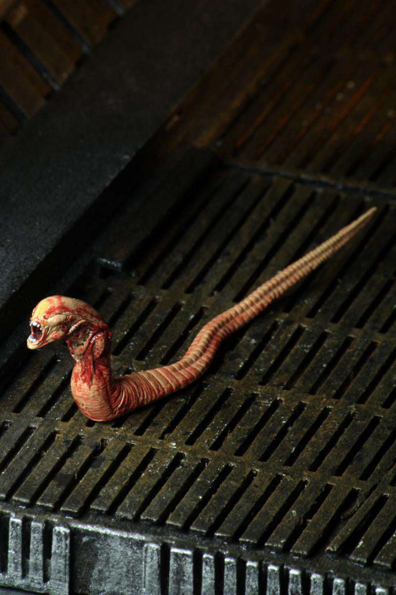 Here should be a File.