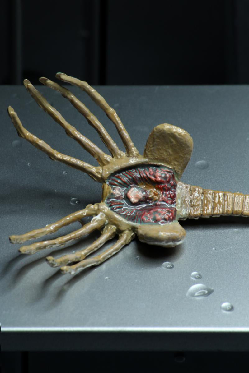 Here should be a File.