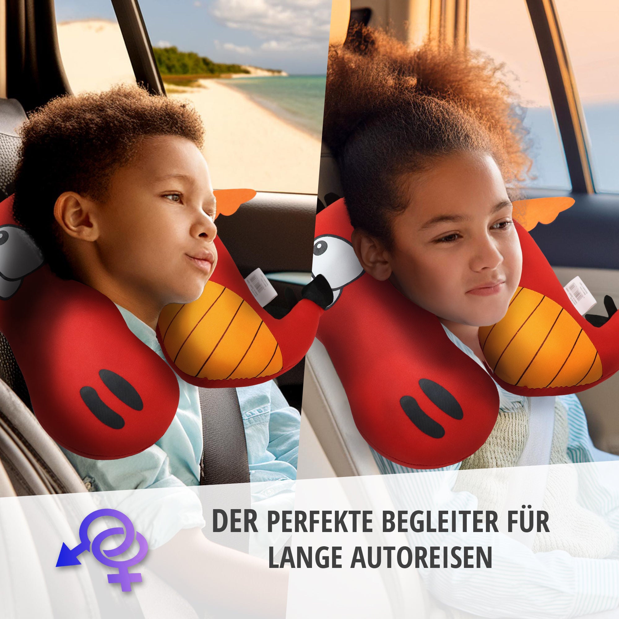 Here should be a File.