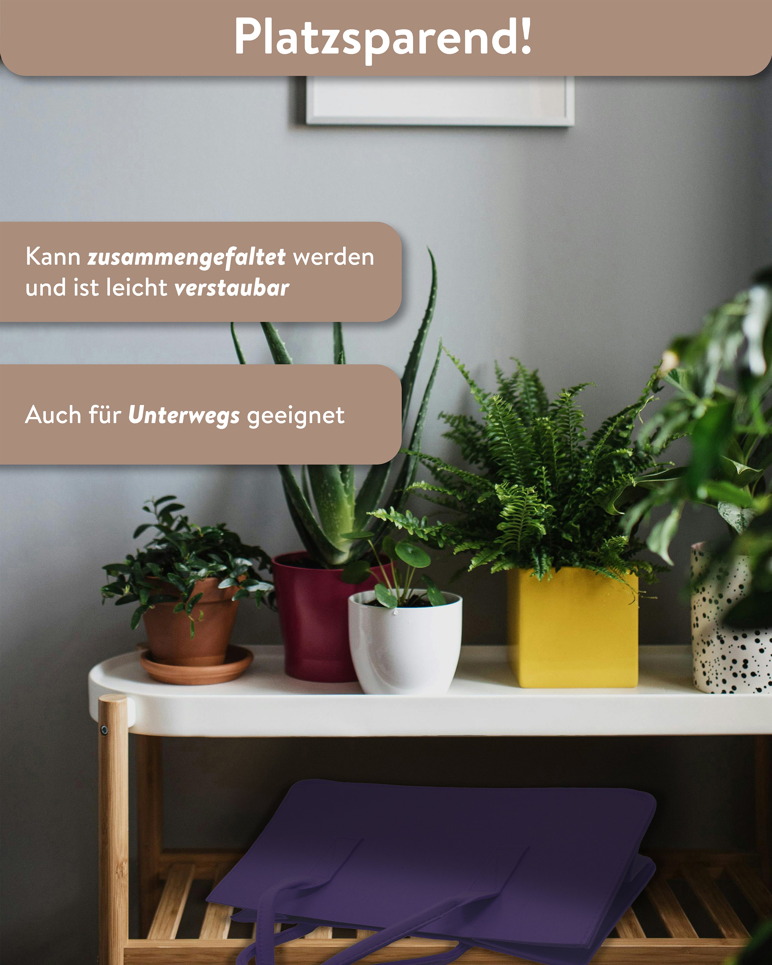 Here should be a File.