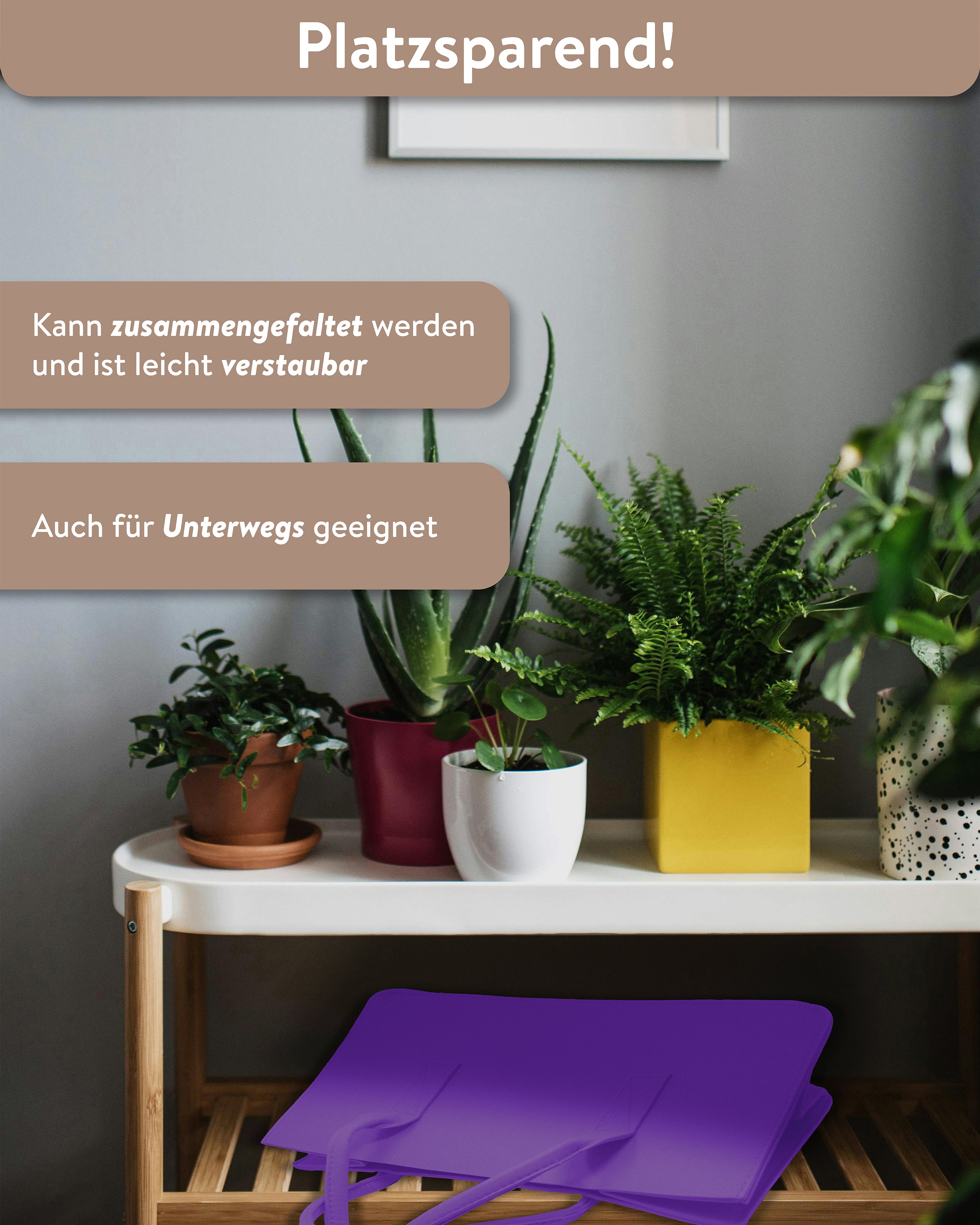 Here should be a File.