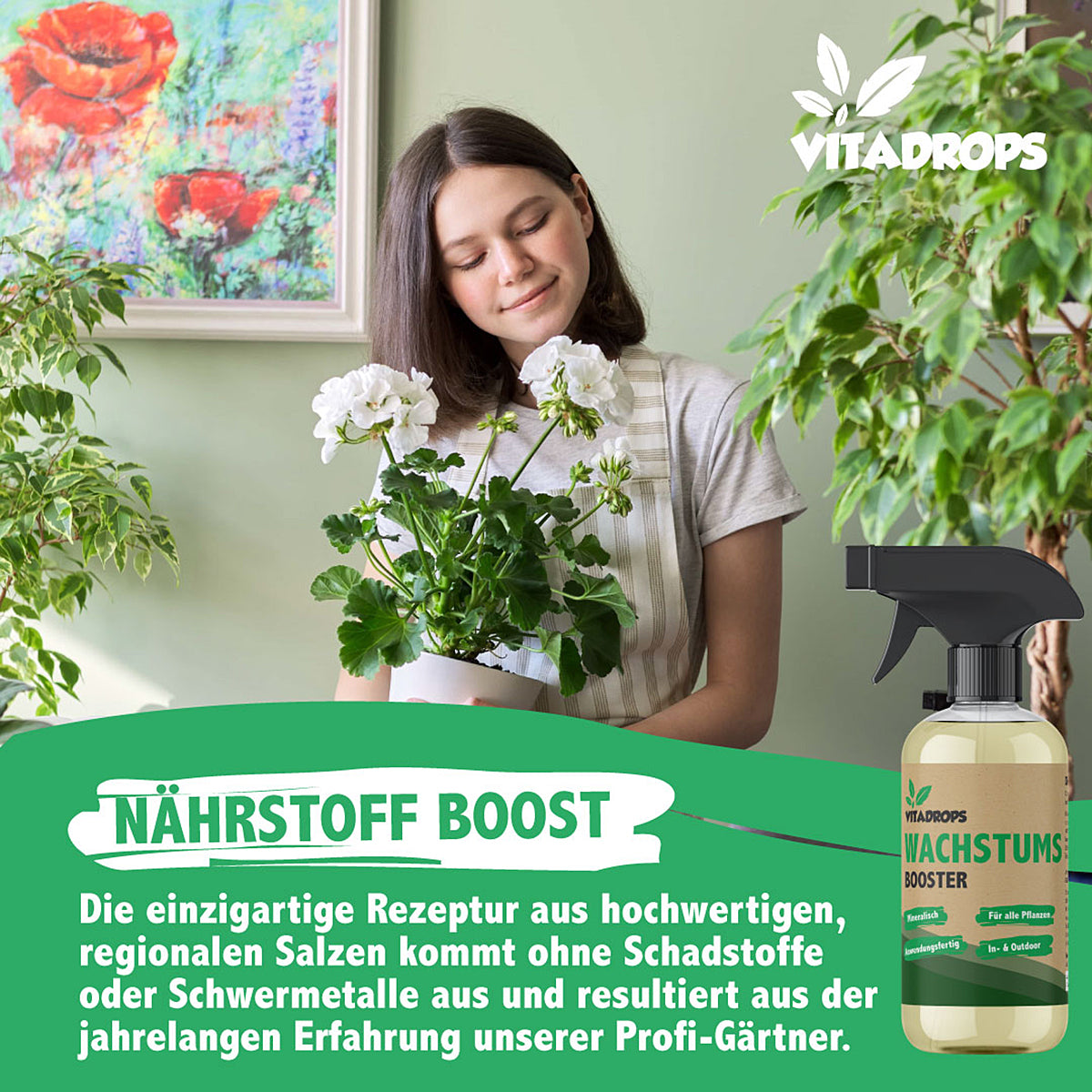 Here should be a File.