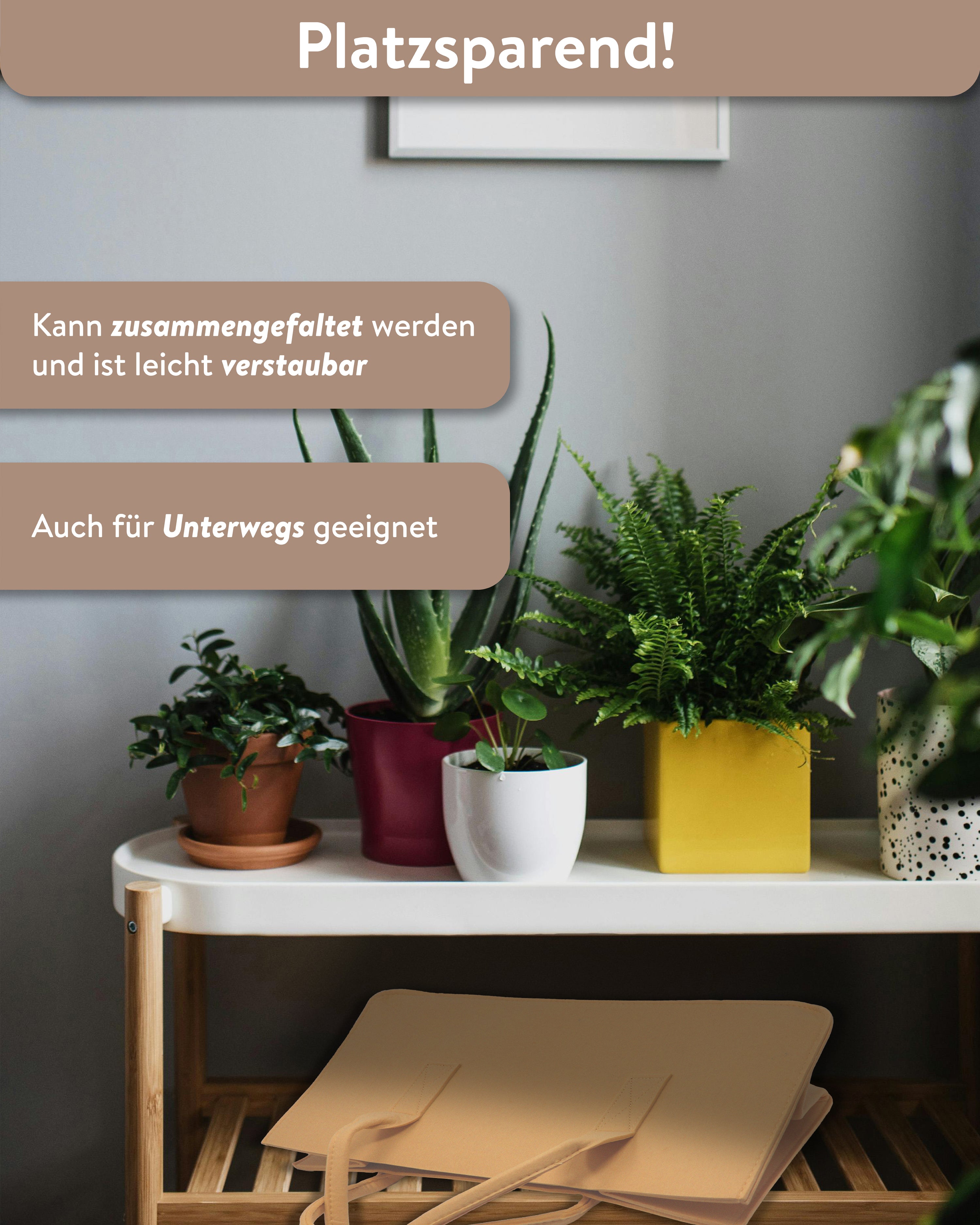 Here should be a File.