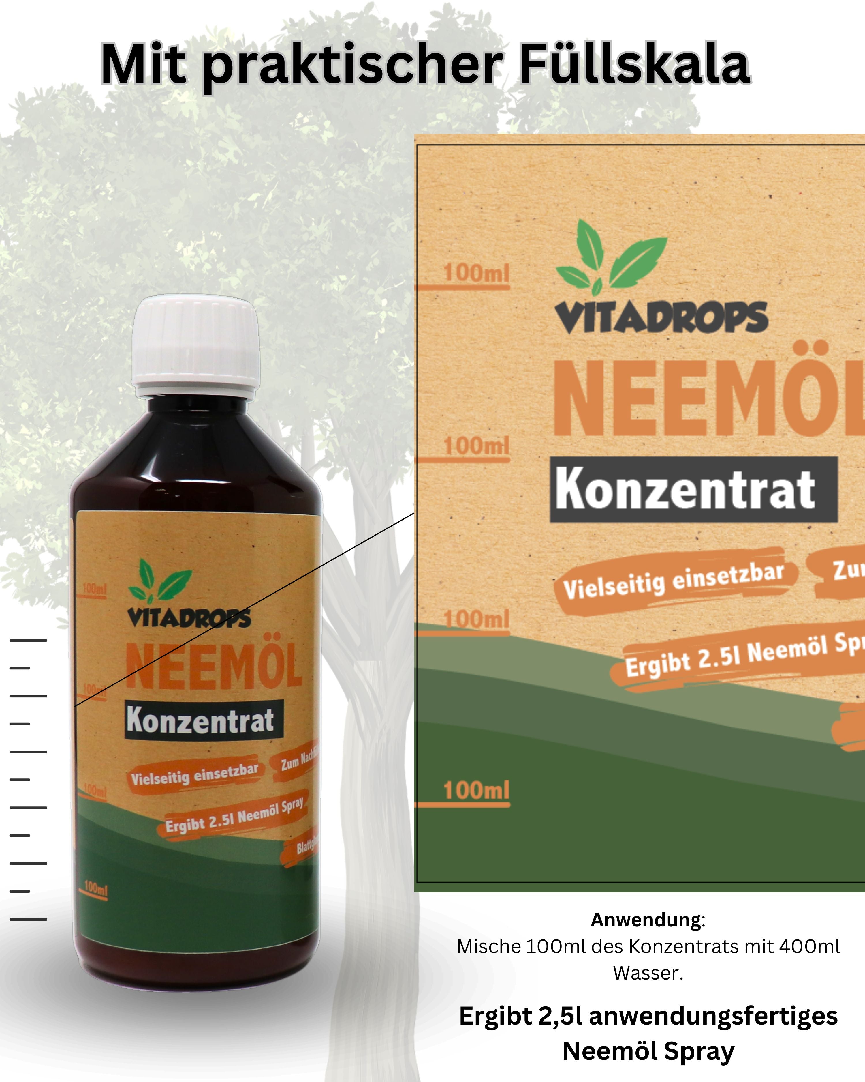 Here should be a File.