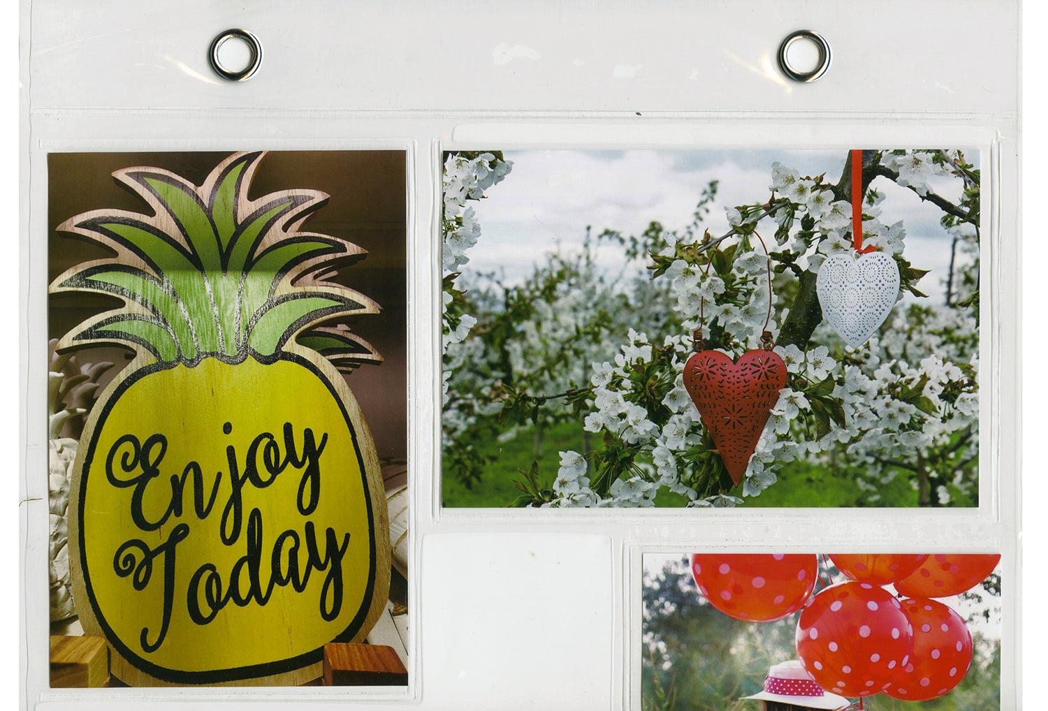 Here should be a File.