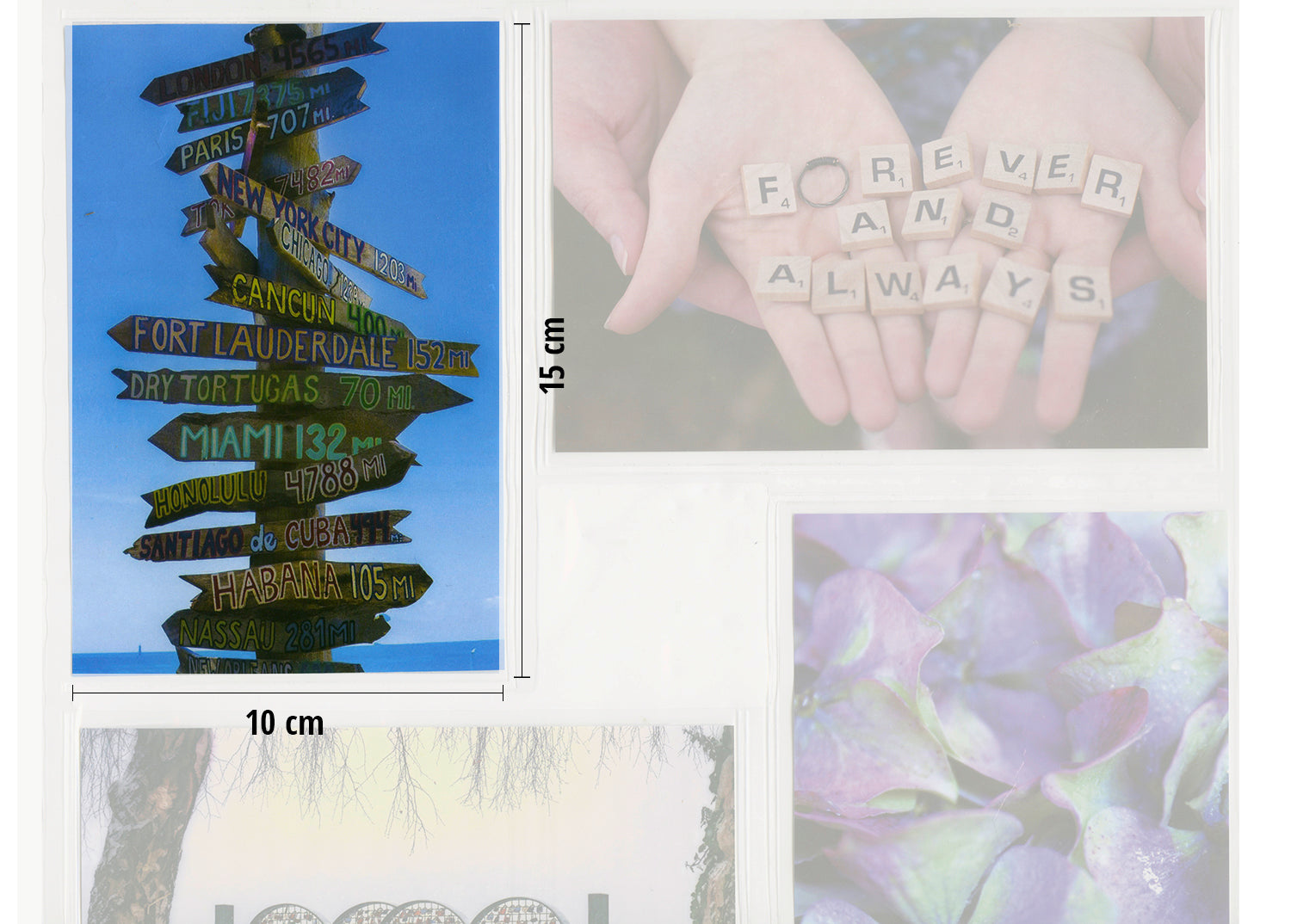 Here should be a File.