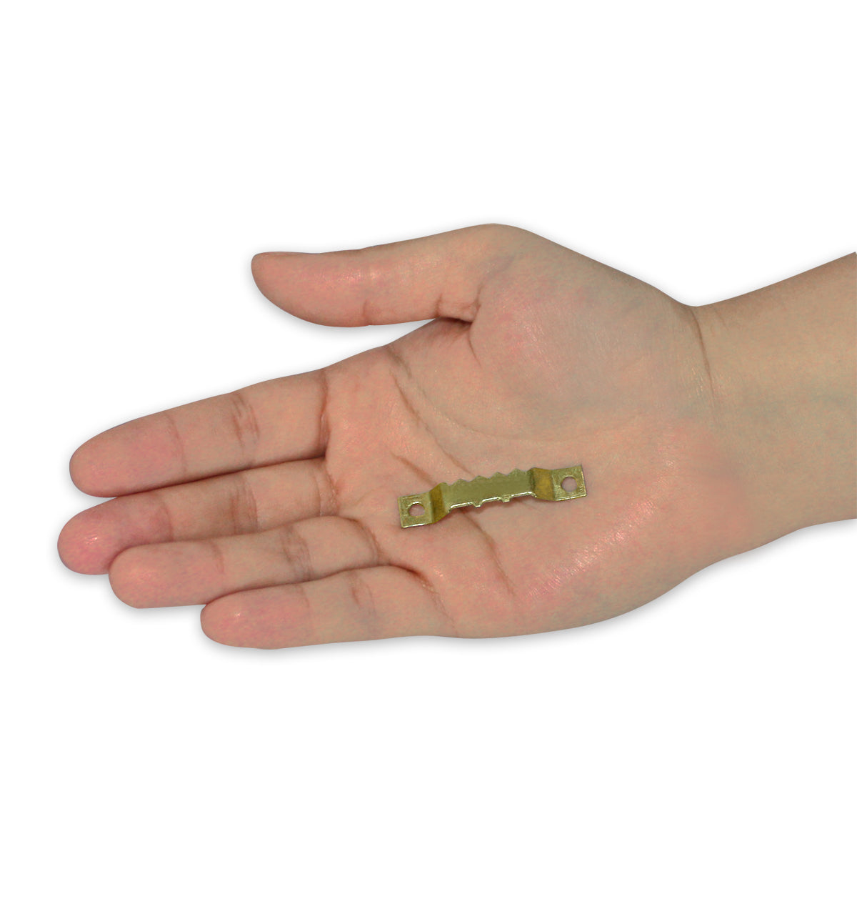 Here should be a File.