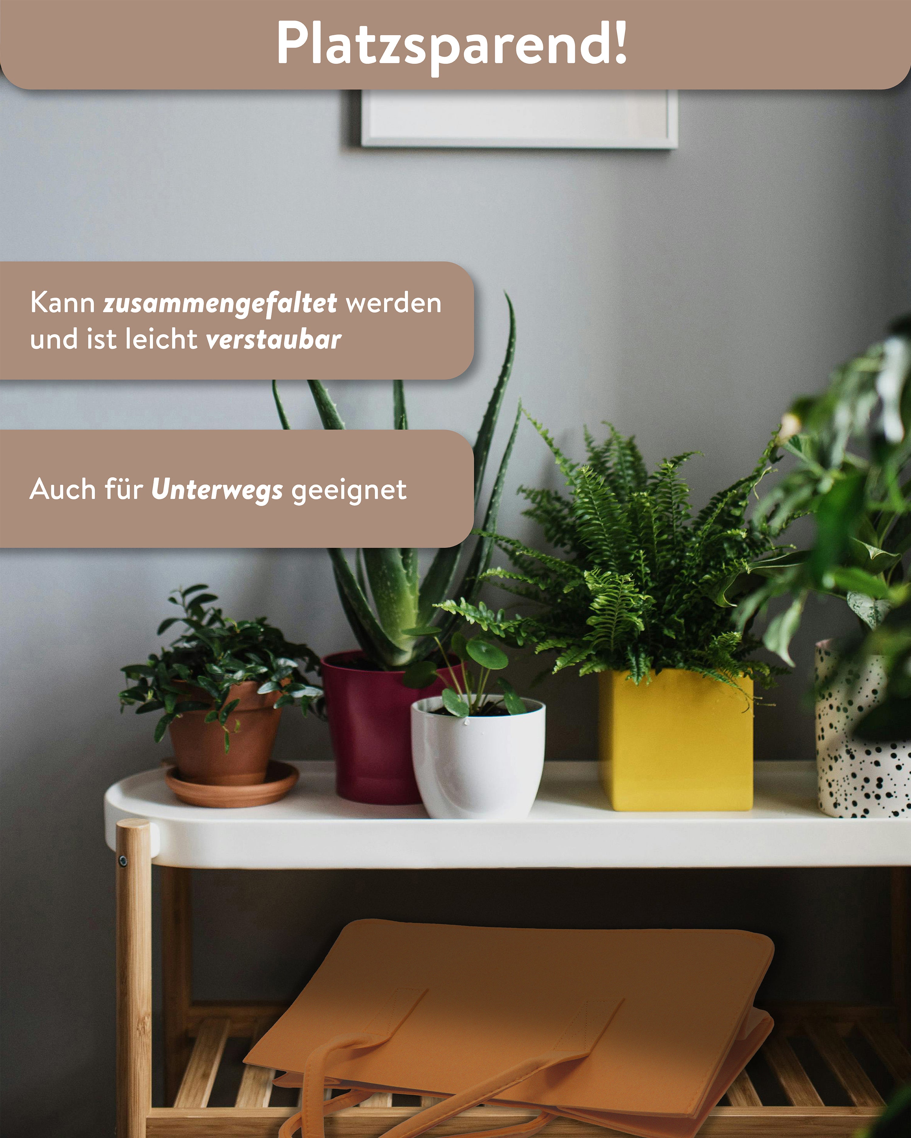 Here should be a File.