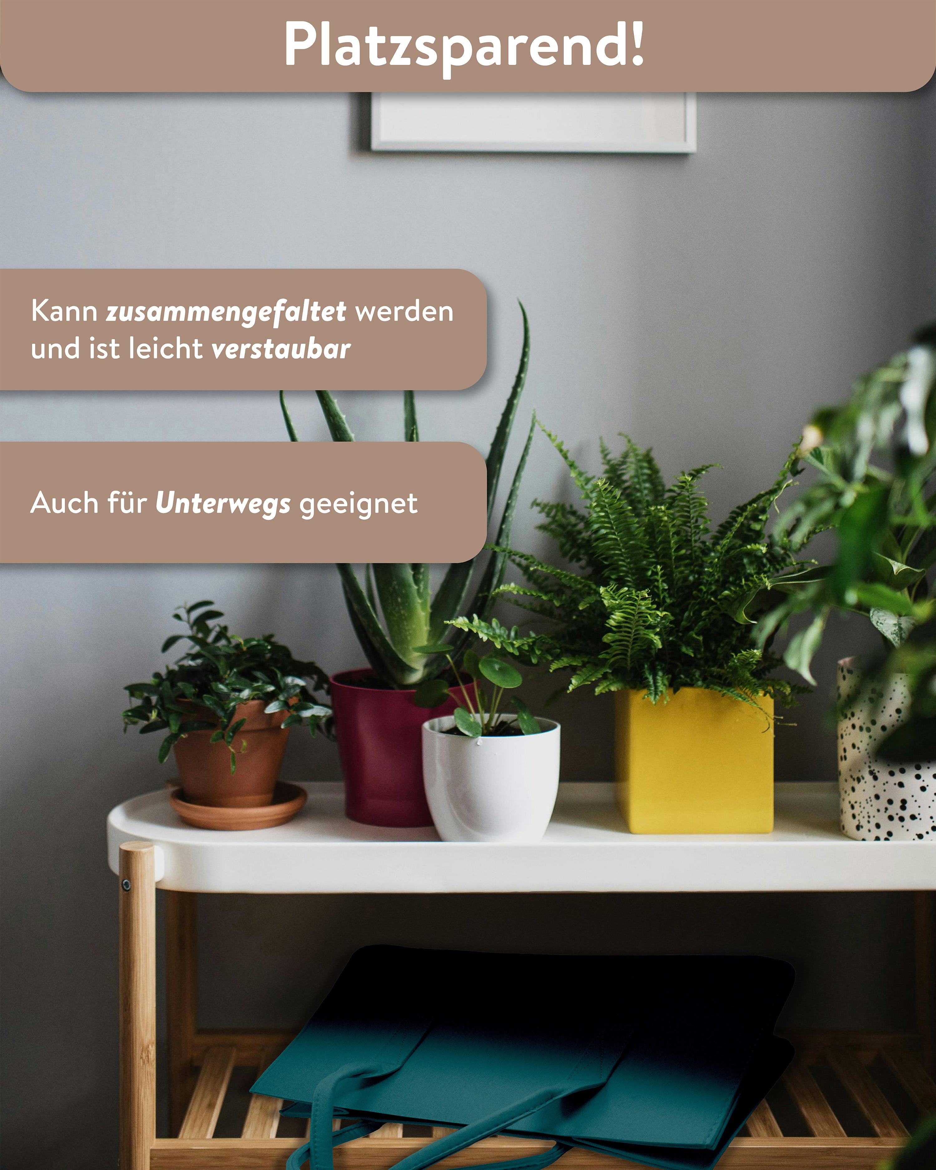 Here should be a File.